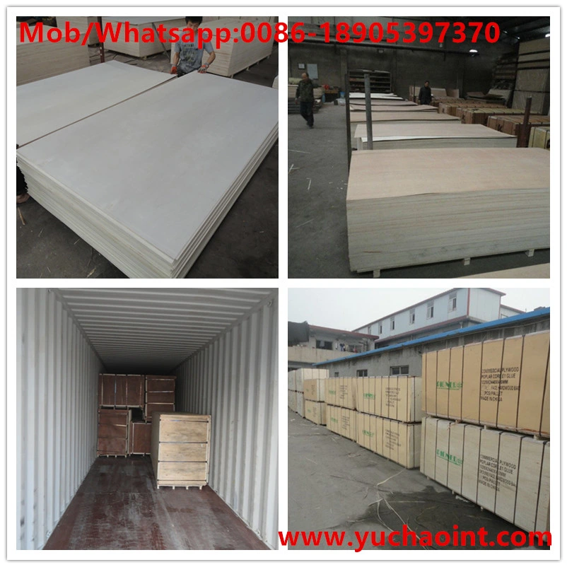 Top Grade High Quality Bleach Poplar Plywood